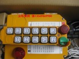 起重遥控器（大量批发）