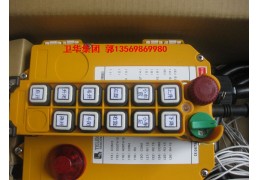 起重遥控器（大量批发）